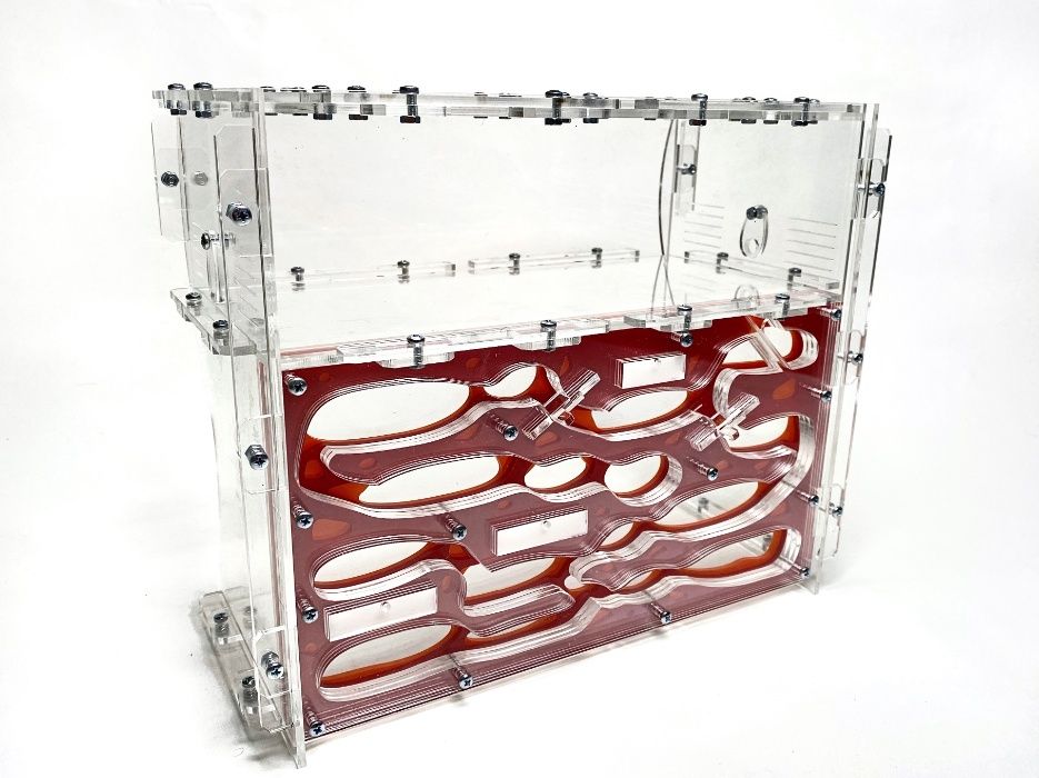 Duże, Szczelne Formikarium "Giant"​ do Hodowli Mrówek