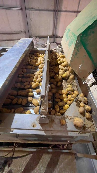 Máquina de pesar com 12 balanças, ( batatas, cebolas, alhos, cenouras, etc )