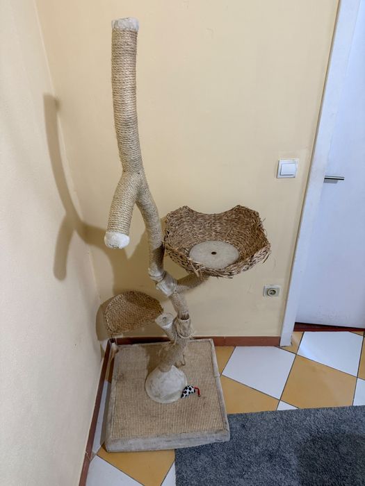 Arranhador de gato