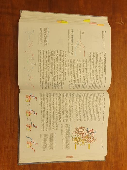 Biochemistry - livro