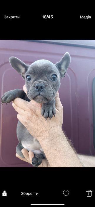 Блакитні,чорні,мармур,білі,шоколадні,різного забарвлення,на любий смак