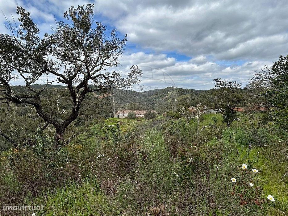 Terreno  para venda