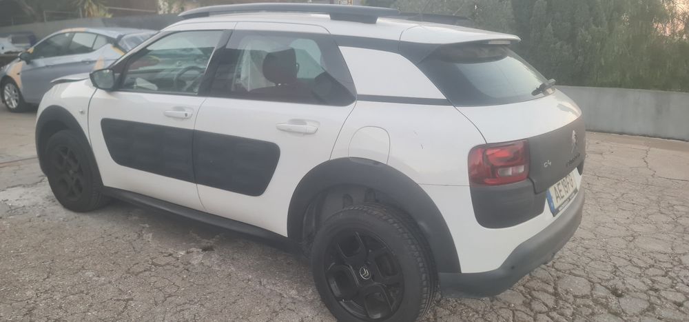 Salvado citroen C4 Cactus