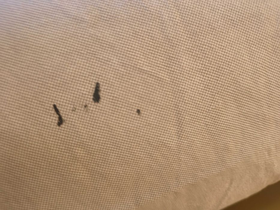 Sofa / kanapa Ektorp dwuosobowa