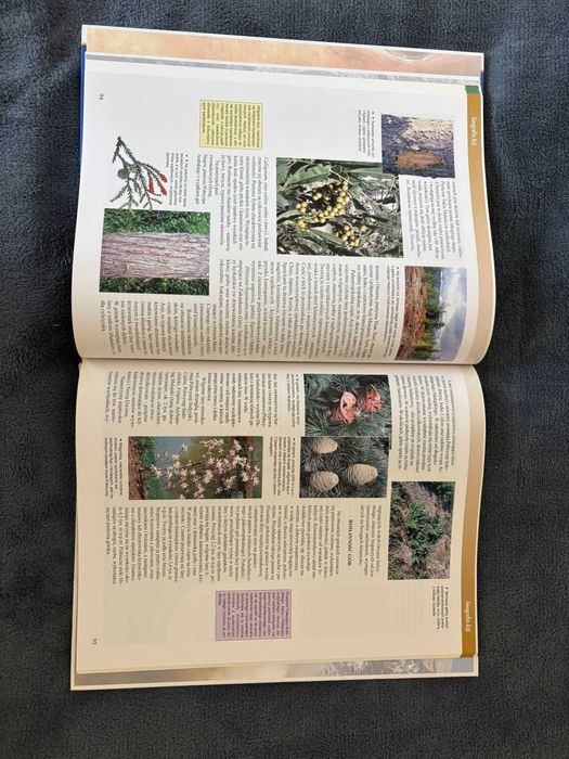 Encyklopedia Edukacyjna - Tom 11 Geografia Europy, Geografia Azji