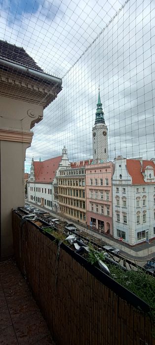 Siatka na balkon, siatka dla kota, siatka przeciw gołębiom