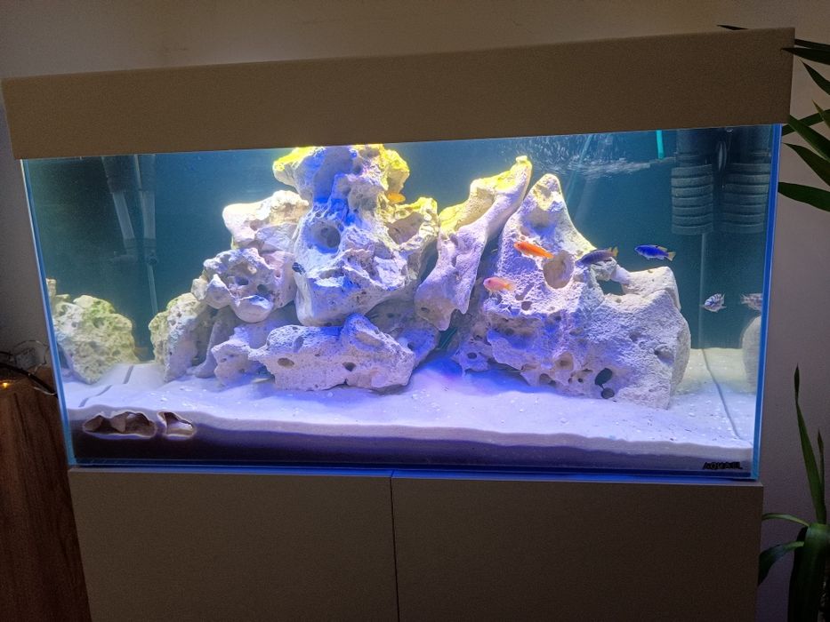 Akwarium aquael malawi