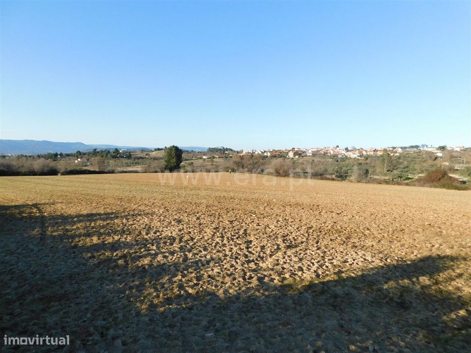 Terreno / Belmonte, Monte do Bispo