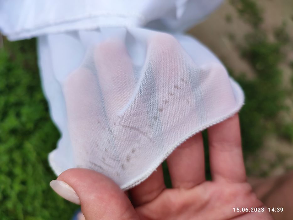 Продам Весільну сукню