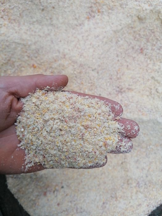 Ccm mielone ziarno kukurydzy w big bag 2025 transport