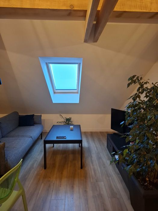 Wynajem mieszkania 50 m Ul. Morelowa