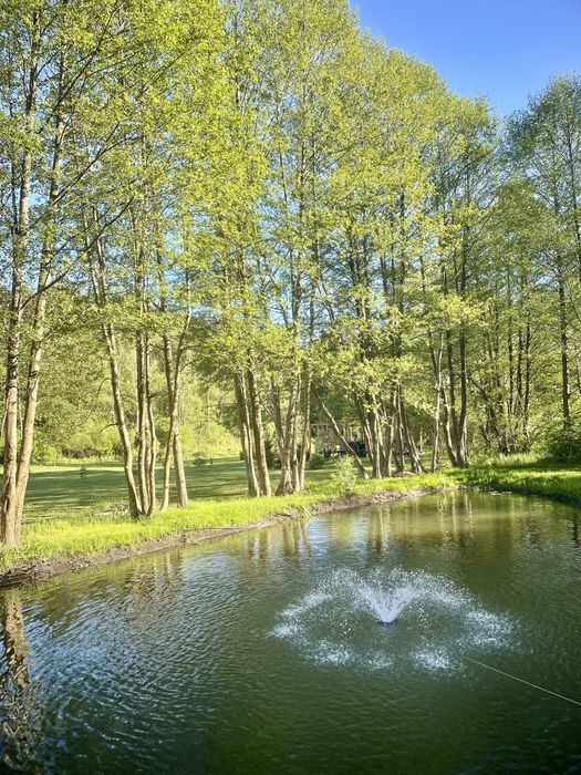 Tiny silent house river wynajem domek jacuzzi las cisza wynajme