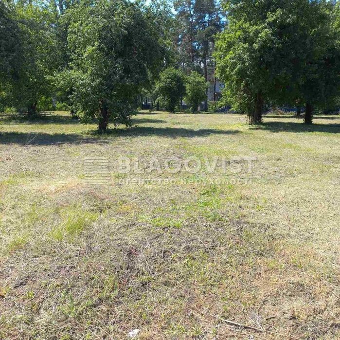 Продаж Бази Відпочинку серед Лісу ! 6.9 Га ! Червоний Хутір