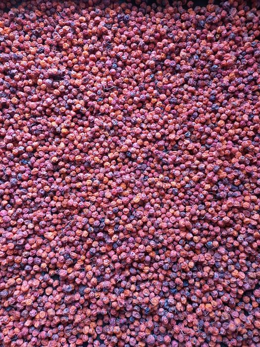 Горобина червона сушена