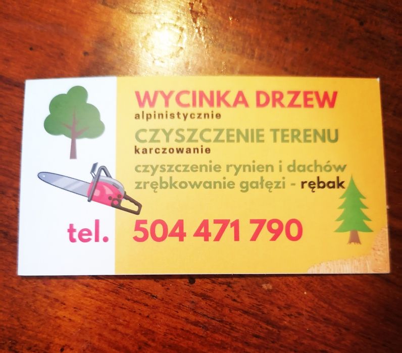 Wycinka drzew, Twój Drwal!