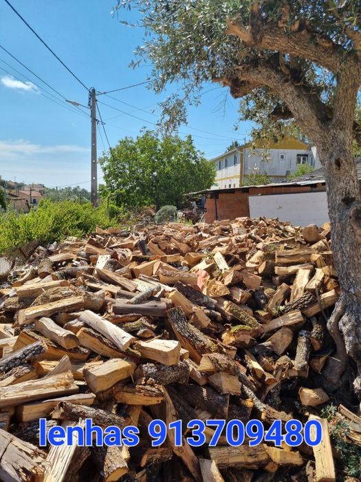 Venda de lenha seca
