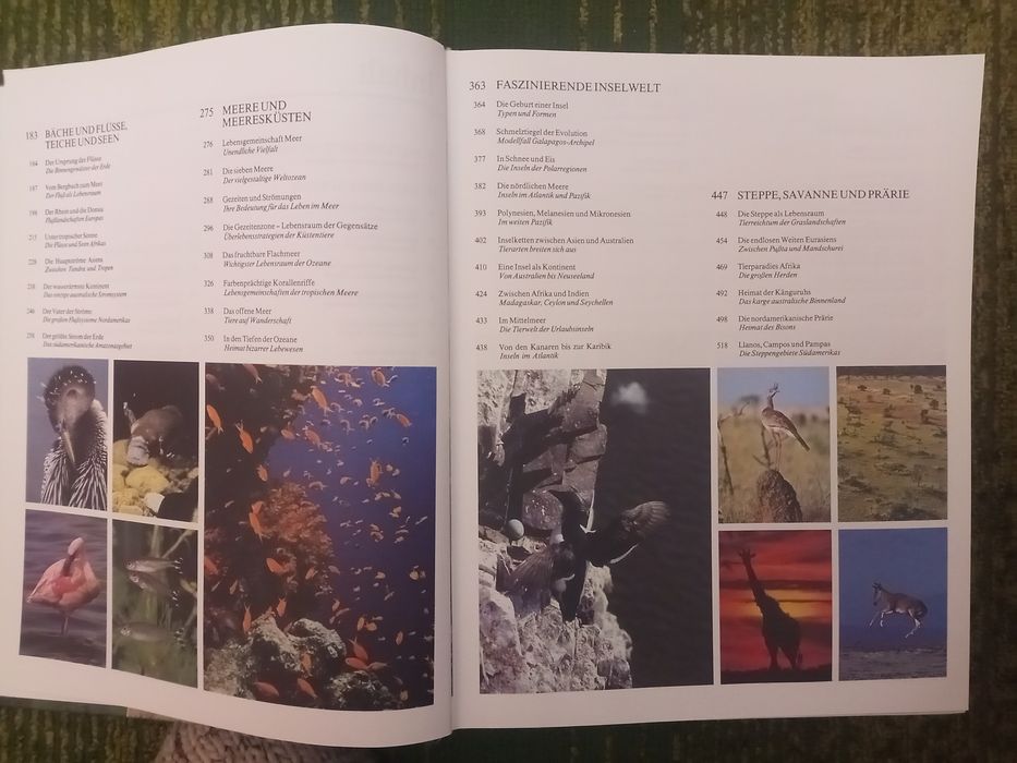 Енциклопедія Тваринний світ