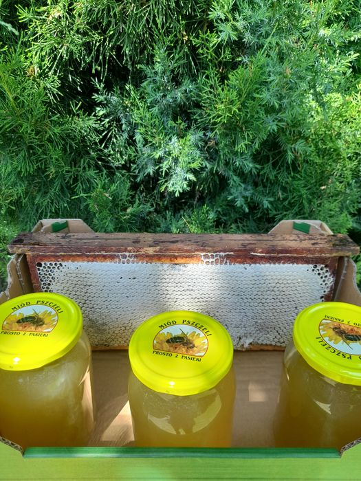 Miód wielokwiat jasny słoik 0,9 - 1,25 kg netto