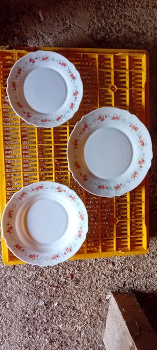 Serviço de pratos para catering ou restaurante