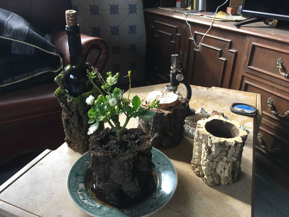 vasos de cortiça natural.