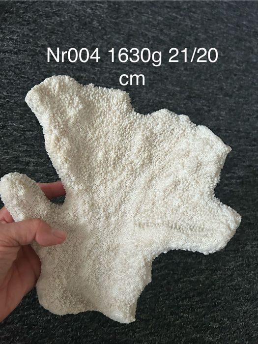 Dekoracja akwariowa nr 04