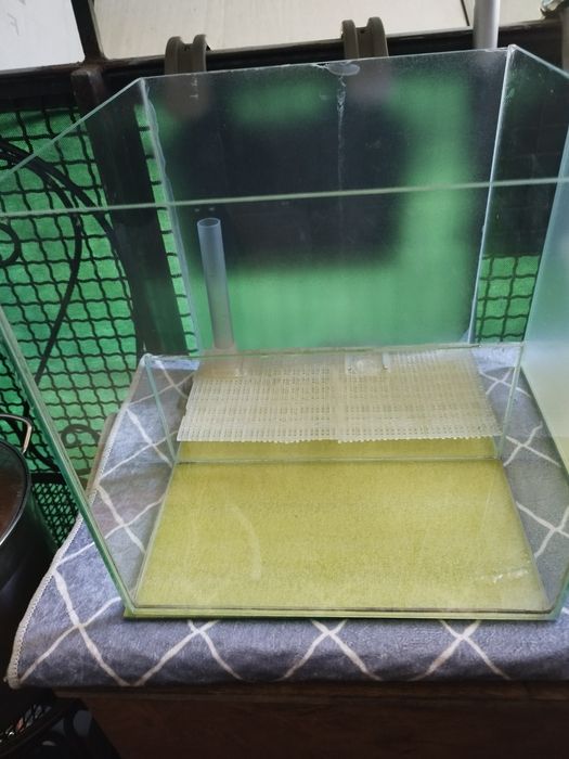 Krewetkarium -akwarium