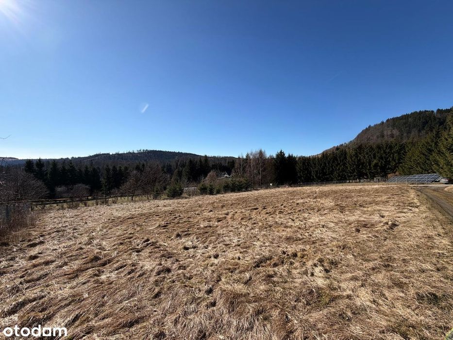 Sokolec - działka budowlana z pięknym widokiem