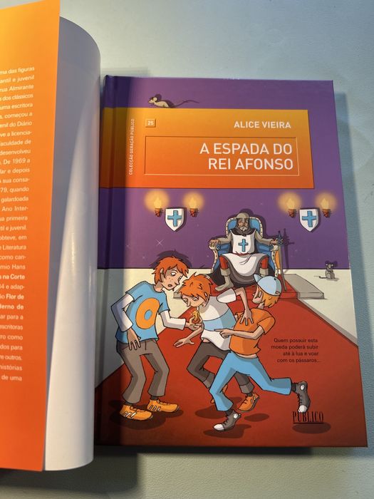 Livro A espada do Rei Afonso- Geração Público