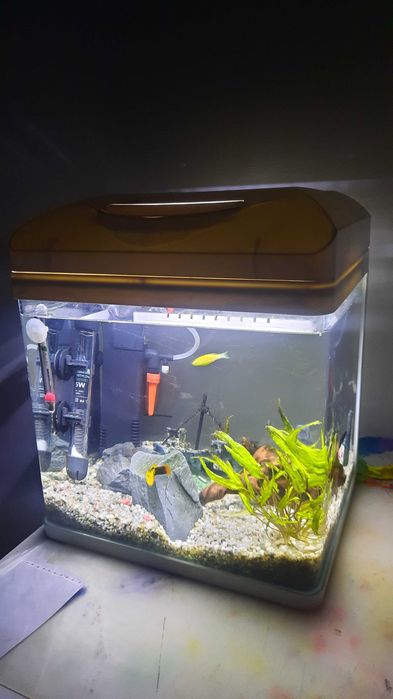 Akwarium INVITAL 30 L