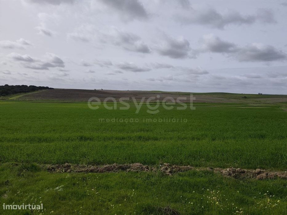 Terreno Rústico com área total de 10, 0375 ha, localizado na fregue... — Aljustrel E Rio De Moinhos, Beja