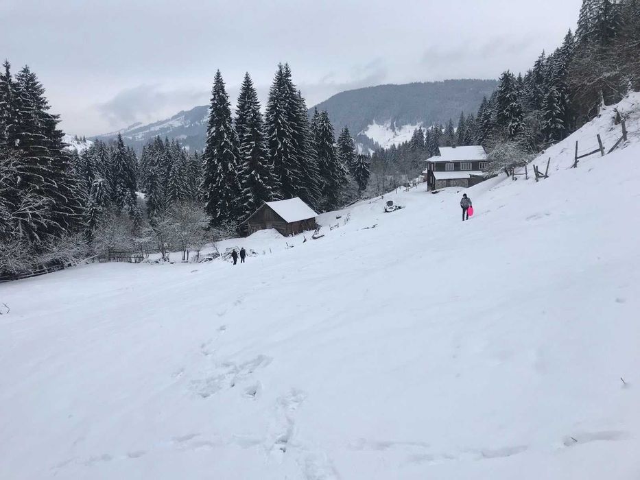 Земля під будівництво земельна ділянка в Карпатах Верхонина