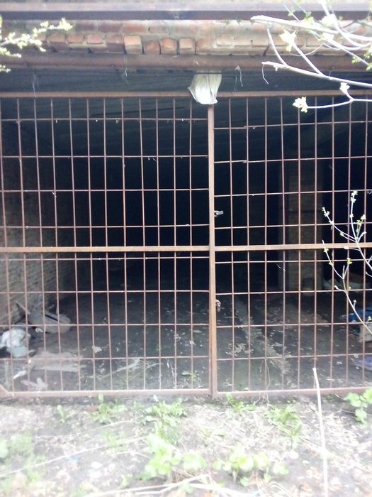 Подвал для хранения саженцов и другого.