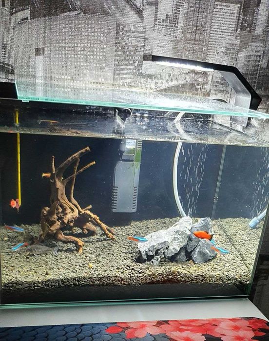 Продам акваріум 22 л