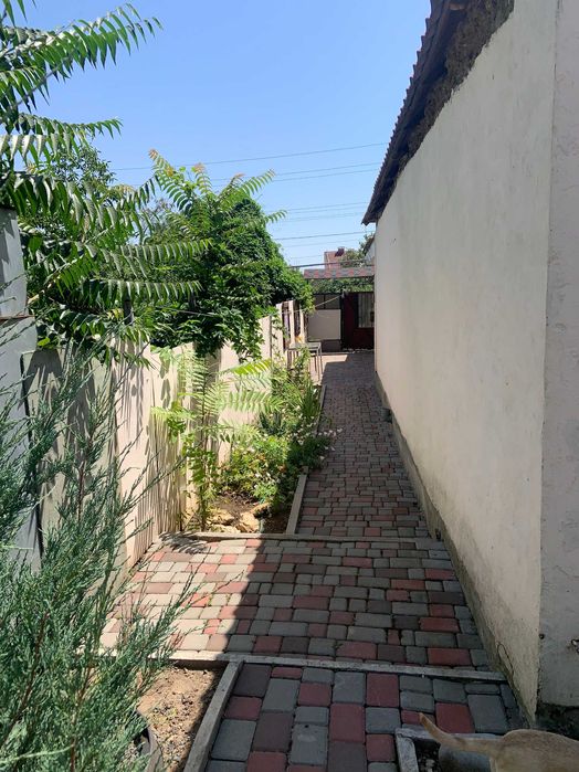 Сдам комфортный и благоустроенный домик в Александровке