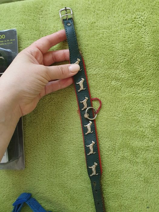 Ошейники и поводок