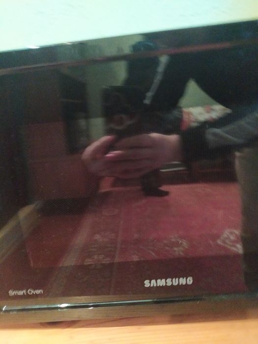 Мікрохвильова піч