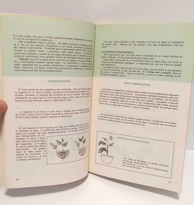 Livro - Sembradora de Valores (edição espanhola)