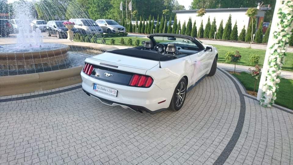 Wynajem Biały Ford Mustang Cabrio 2016 Do ślubu