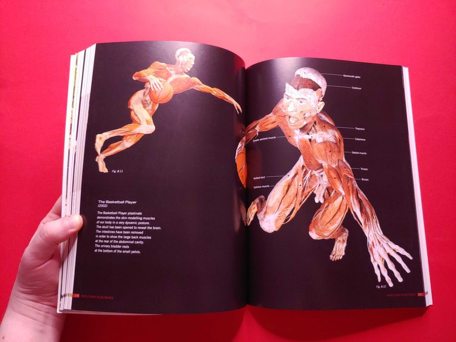 Книга «Вселенная тела» BODY WORLDS Gunther von Hagens