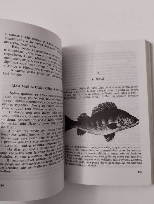 Segredos da Pesca