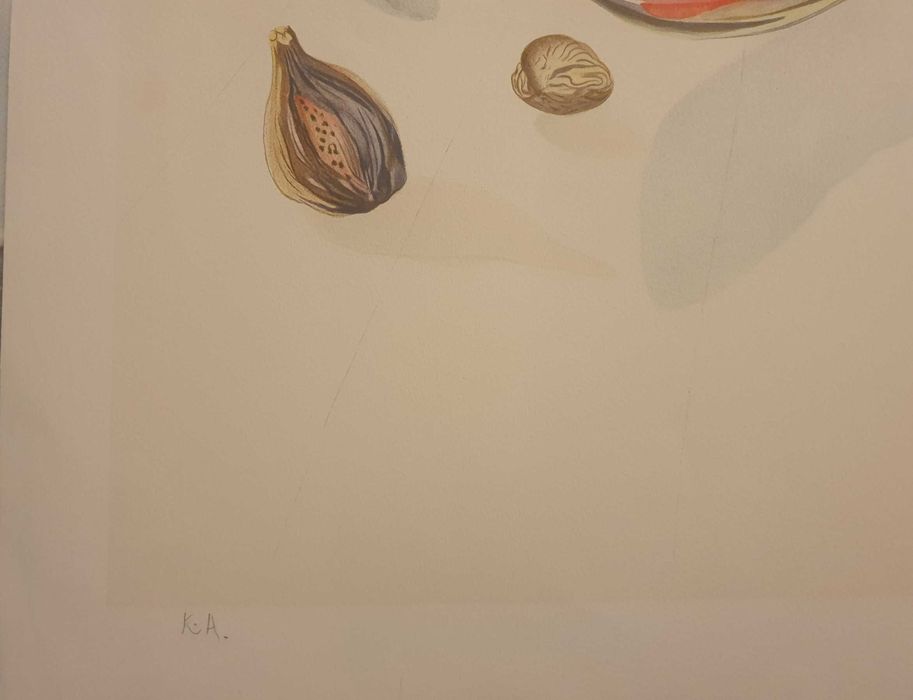 Ñavios e Frutos de Salvador Dali