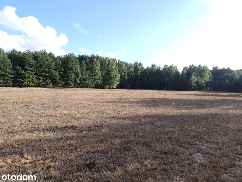 Działki budowlane 1200 m2, Wydane warunki zabudowy.