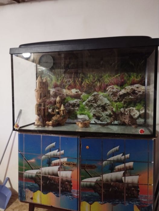 Акваріум 240 л + комплект (фільтр, компресор, декор) — дешево!