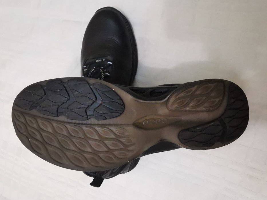 Кросівки Ecco biom