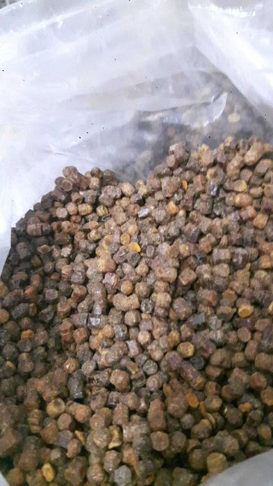 2025 Chleb pszczeli, pierzgaa  Minimum Zamówienie: 10 kg