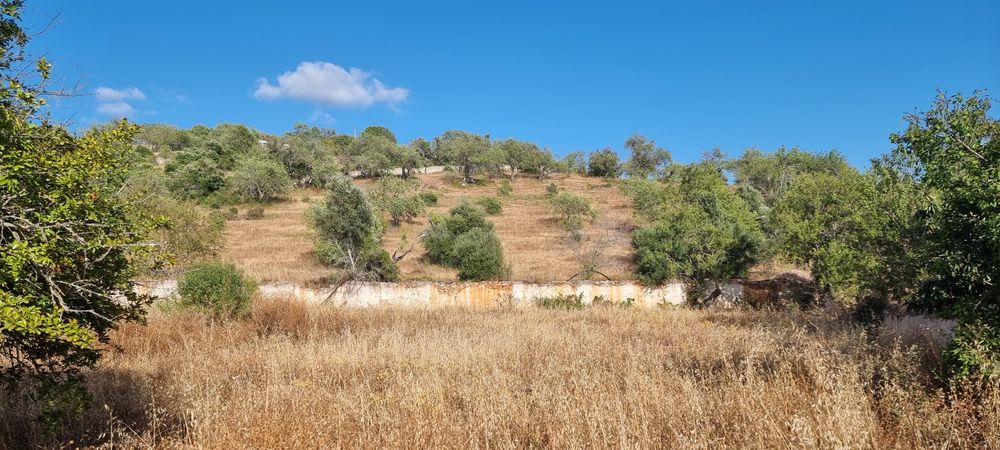 Vende-se  Terreno com casa em Paderne