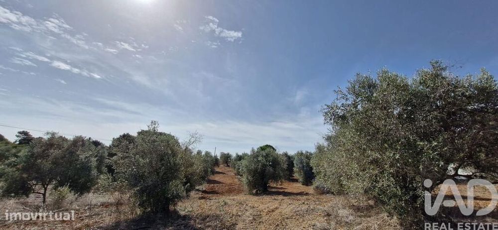 Terreno em Azambujeira e Malaqueijo de 12080,00 m2
