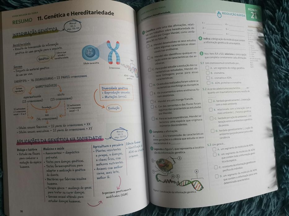 Caderno de atividades novo Ciências naturais 9° ano - 100% CN