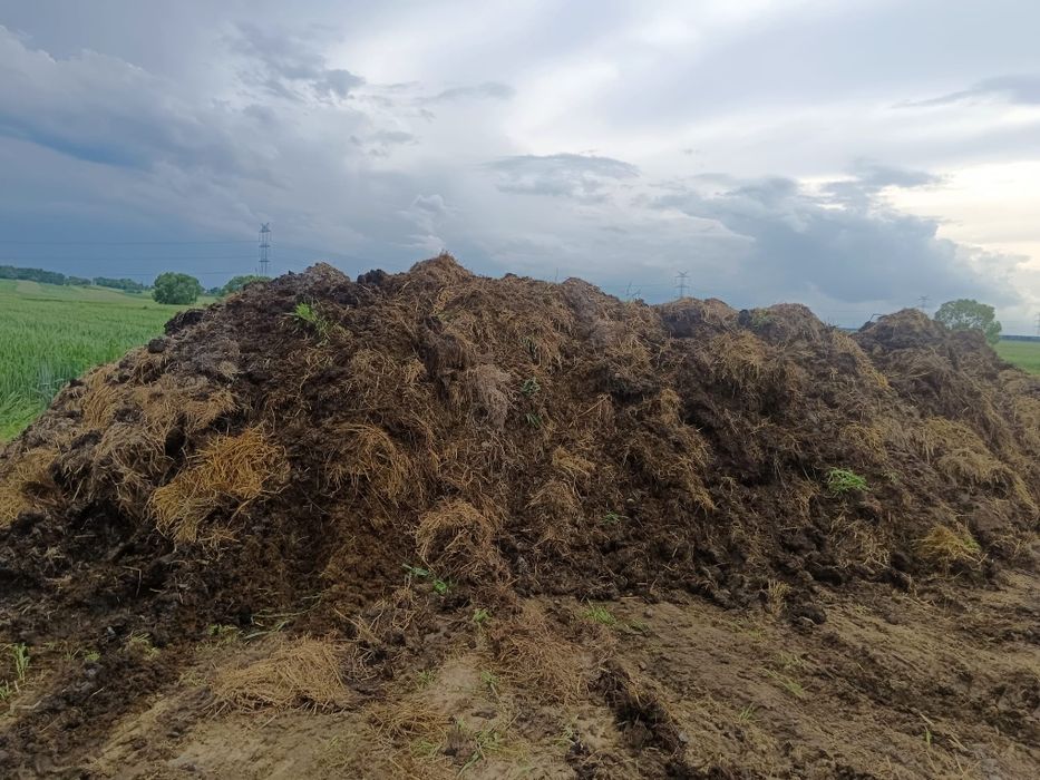 Obornik koński z dowozem