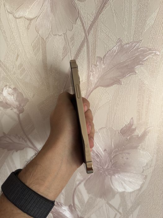 iPhone 12 Pro 256 GB